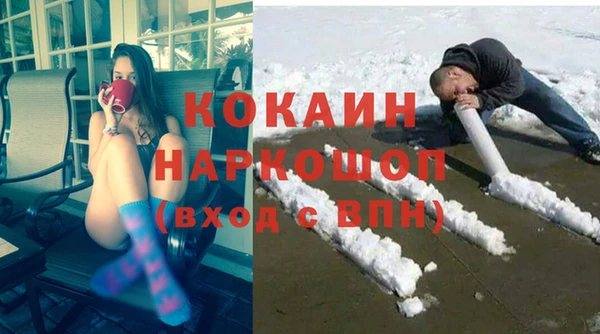 гашик Сатка