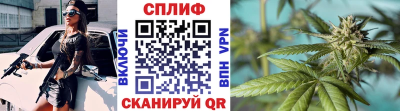 Шишки марихуана OG Kush  Будённовск 